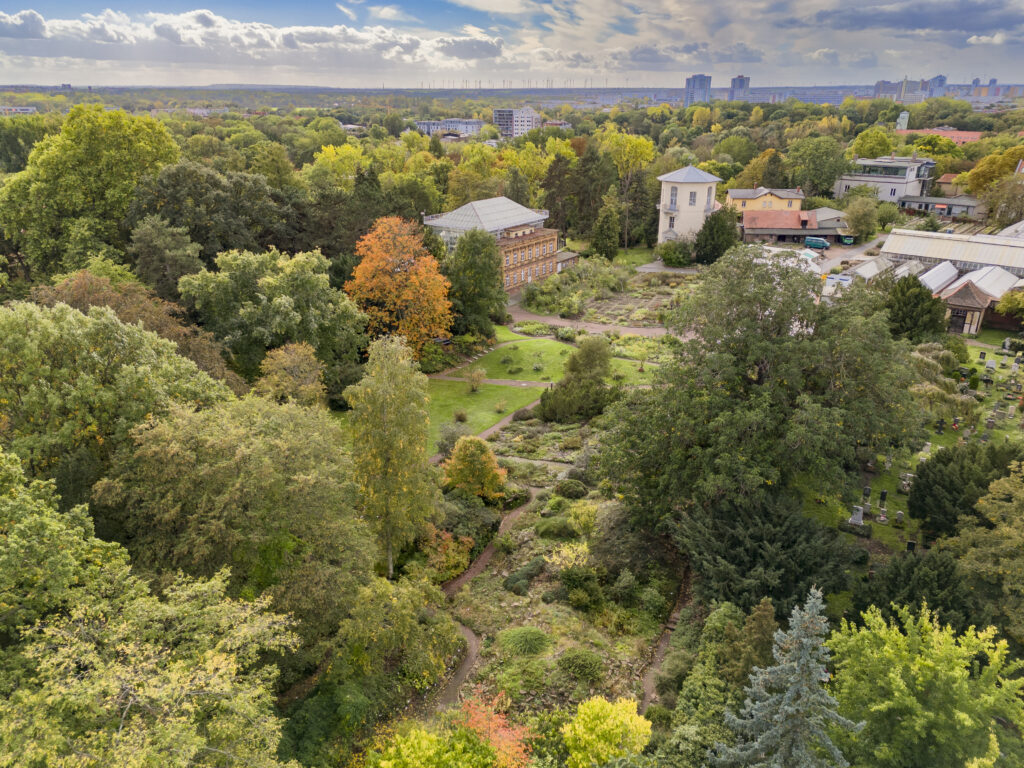 Botanischer Garten mit Bäumen und Gebäuden im Hintergrund.