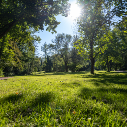 Aufnahme Reichardts Garten